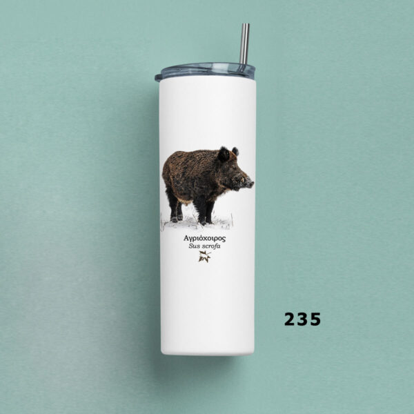 Ποτήρι Θερμός 570ml με μεταλλικό καλαμάκι - ΘΗΛΑΣΤΙΚΑ (διάφορα σχέδια) - Image 14