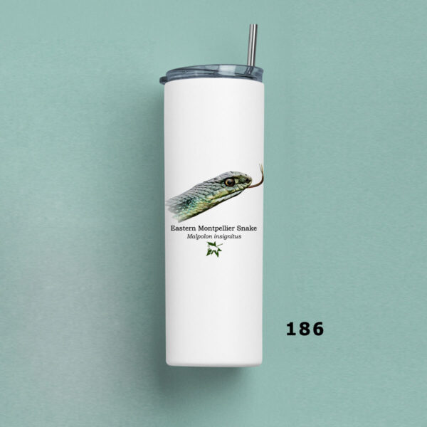 Ποτήρι Θερμός 570ml με μεταλλικό καλαμάκι - ΕΡΠΕΤΑ (διάφορα σχέδια) - Image 3
