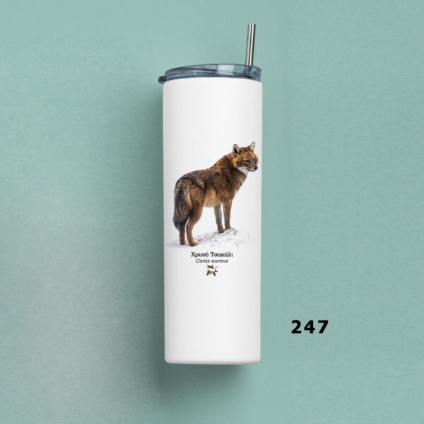 Ποτήρι Θερμός 570ml με μεταλλικό καλαμάκι - ΘΗΛΑΣΤΙΚΑ (διάφορα σχέδια) - Image 8