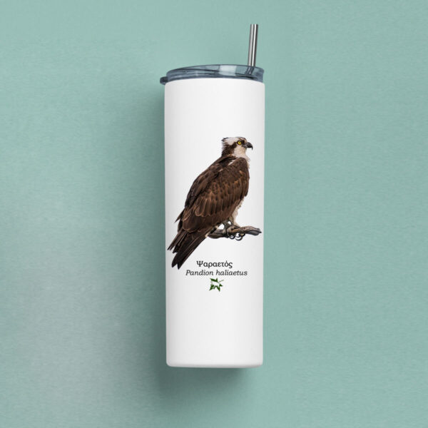 Ποτήρι Θερμός 570ml με μεταλλικό καλαμάκι - ΠΤΗΝΑ (διάφορα σχέδια) - Image 6