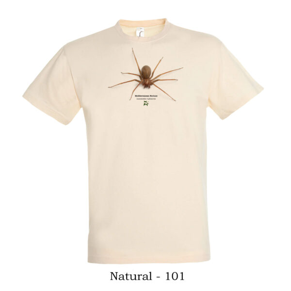 T-shirt με Μεσογειακή Λοξοσκέλη Loxosceles rufescens - Διάφορα χρώματα - Image 10