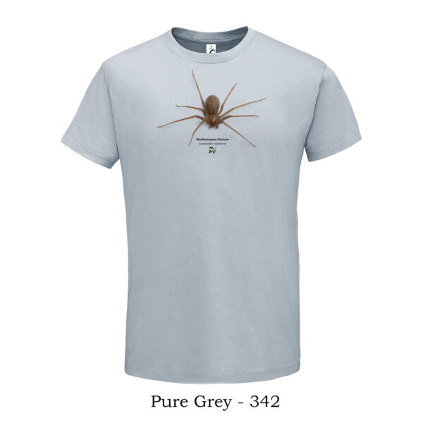 T-shirt με Μεσογειακή Λοξοσκέλη Loxosceles rufescens - Διάφορα χρώματα - Image 8