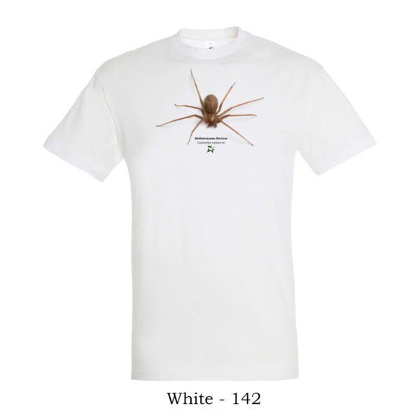 T-shirt με Μεσογειακή Λοξοσκέλη Loxosceles rufescens - Διάφορα χρώματα - Image 7