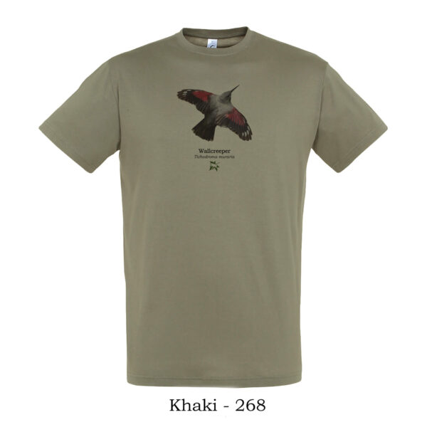 T-shirt με Τοιχοδρόμο Tichodroma muraria - Διάφορα χρώματα - Image 16