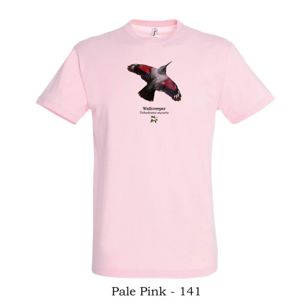 T-shirt με Τοιχοδρόμο Tichodroma muraria - Διάφορα χρώματα - Image 13