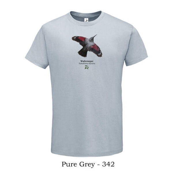 T-shirt με Τοιχοδρόμο Tichodroma muraria - Διάφορα χρώματα - Image 12