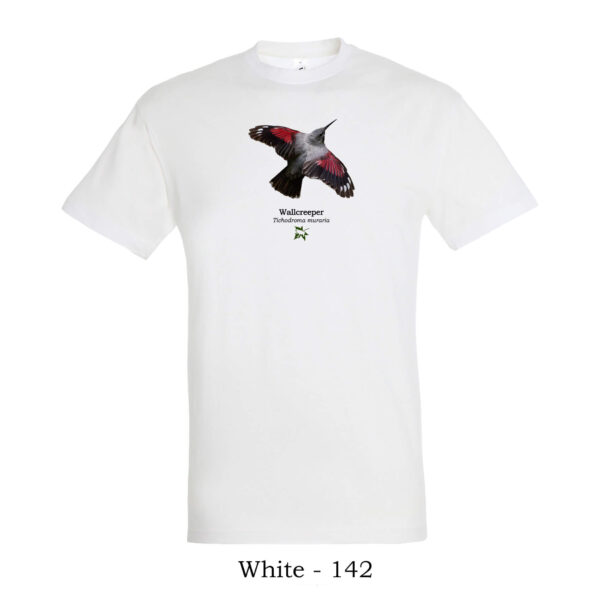 T-shirt με Τοιχοδρόμο Tichodroma muraria - Διάφορα χρώματα - Image 11