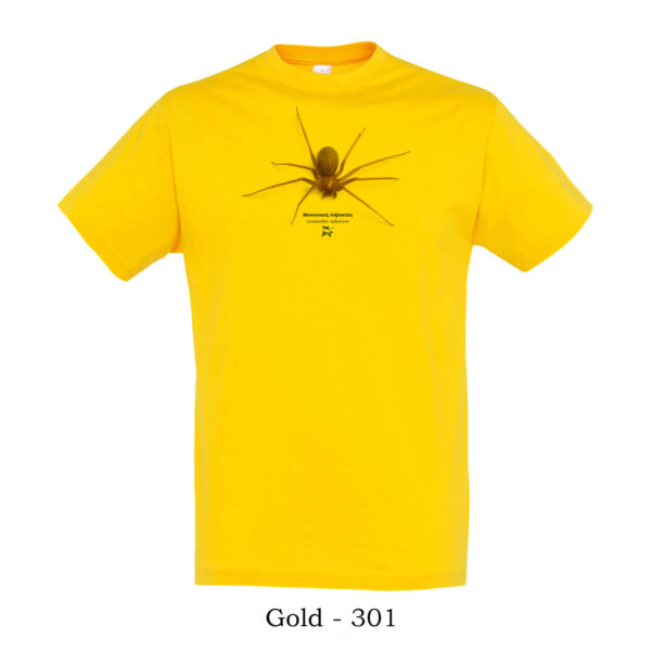 T-shirt με Μεσογειακή Λοξοσκέλη Loxosceles rufescens - Διάφορα χρώματα - Image 6