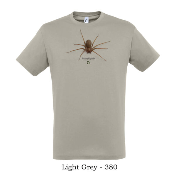 T-shirt με Μεσογειακή Λοξοσκέλη Loxosceles rufescens - Διάφορα χρώματα - Image 5