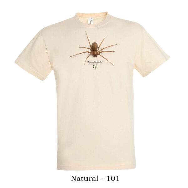 T-shirt με Μεσογειακή Λοξοσκέλη Loxosceles rufescens - Διάφορα χρώματα - Image 4