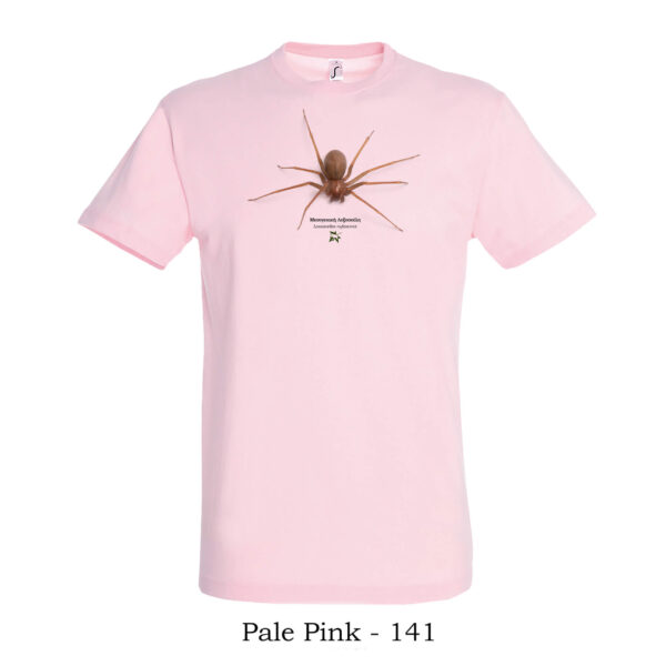 T-shirt με Μεσογειακή Λοξοσκέλη Loxosceles rufescens - Διάφορα χρώματα - Image 3