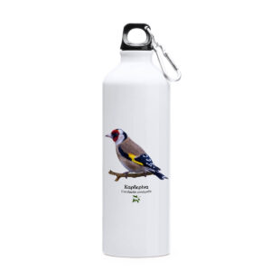 Καρδερίνα European goldfinch Carduelis carduelis thermos