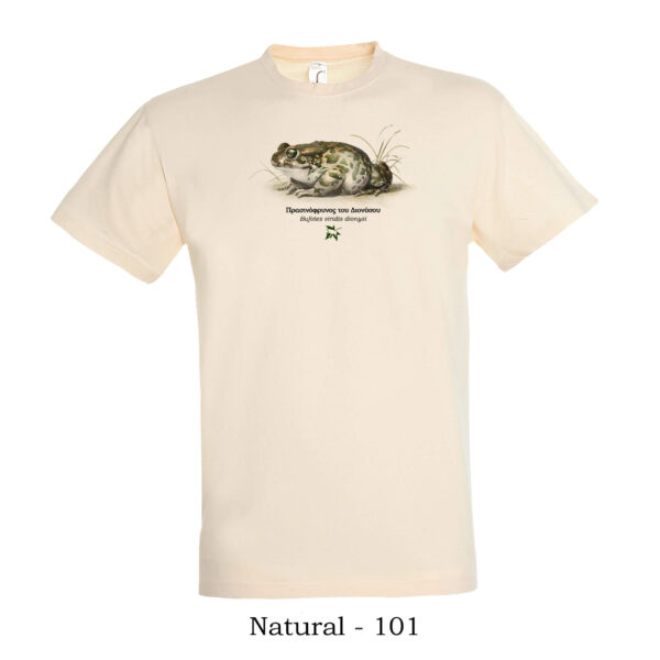 T-shirt Πρασινόφρυνος του Διονύσου - Διάφορα χρώματα - Image 5